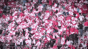 national team fans GIF