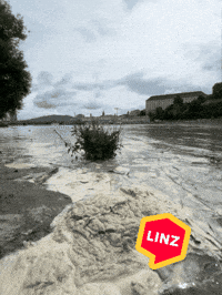 Summer What GIF by Linz News