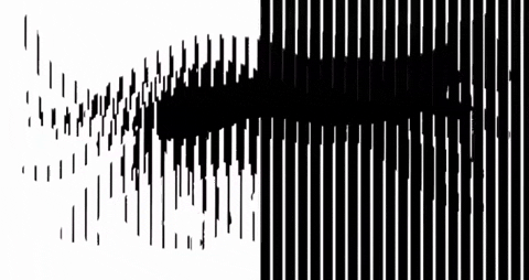 serhikorolchukgmailcom giphygifmaker GIF