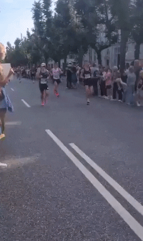 stablenews giphyupload GIF