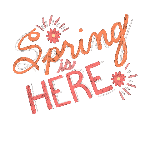 jennkarrasdesigns giphyupload flowers spring springishere Sticker