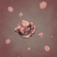 GIF by Shurly