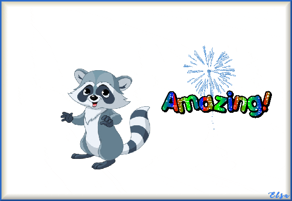 Fireworks Racoon GIF