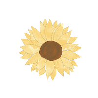 Ulinnsyifaullinnas flower yellow plant sunflower Sticker