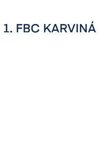Floorball Karvina Sticker by Florbal Karviná