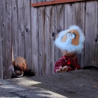 Vitamin C Orange GIF by Four Rest Films