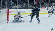 Happy Fired Up GIF by Quad City Storm