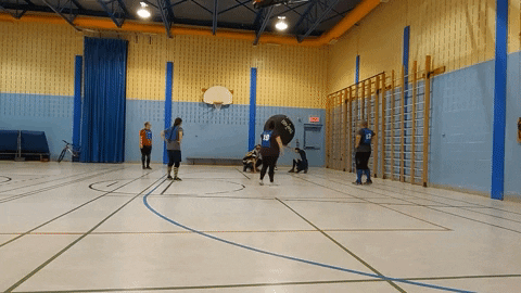 marc-edouardlarose giphyupload sport kin-ball kinball GIF