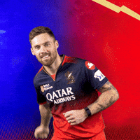 Happy Phil Salt GIF by Royal Challengers Bengaluru