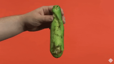 GIF by TheCocodollzz