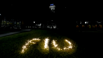 fireworks sparklers GIF by FIU