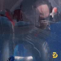 Bobtheshark GIF by Shark Week