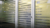 missing season 5 GIF by Broad City