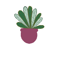 Home Plant Sticker by Tollpihék