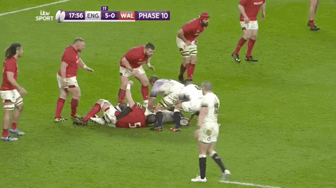 SirPinguton giphyupload GIF