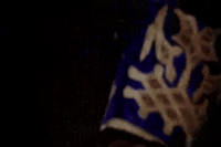 #jimmorrison #thedoors GIF by The Doors