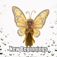 GIF by BuddhaFlyJourney