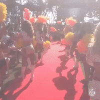 GIF by NFL