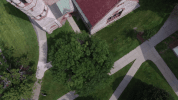 fall leaves GIF by Dartmouth College