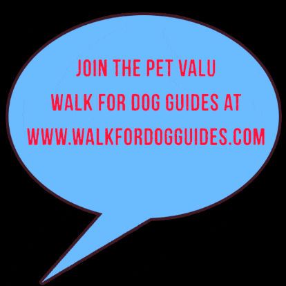 Lfcdogguides dog guides walk for dog guides dog guide pet valu walk for dog guides GIF
