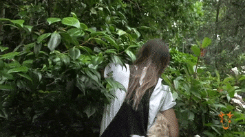 Escape Jungle GIF by The Goat Agency