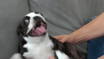 fight tickle GIF