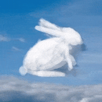 White Rabbit Cloud GIF by Barbara Pozzi