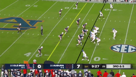 SchaufDS giphygifmaker GIF