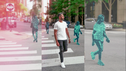 thepuppydoc giphyupload GIF