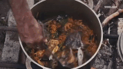 viceland GIF by Hamilton's Pharmacopeia
