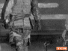 Akira Kurosawa Japan GIF by Turner Classic Movies