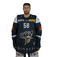 Stare Hcc Sticker by Hockey Club La Chaux-De-Fonds