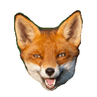 fox STICKER by imoji
