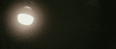 Music Video Portland GIF by Casanova Records