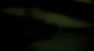 country music GIF by Toby Keith