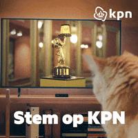 Kat Loeki GIF by KPN