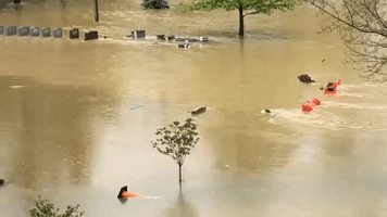 Beaver Paddles Past Funeral Home Tombstones in Loveland Floodwaters