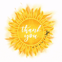 SunshineSpinwearXo sunshinespinwear GIF