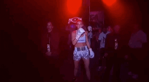 toprank giphyupload fight boxing fighting GIF