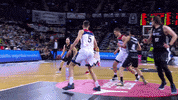 Liga Endesa Basketball GIF by ACB