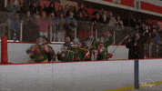 Mighty Ducks Win GIF by Disney+