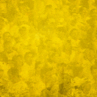 Futbol Barcelona GIF by PilsenerEC