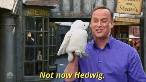 harry potter nbc GIF by The New Celebrity Apprentice