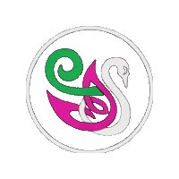 Champions Irish Sticker by Ashling Daly