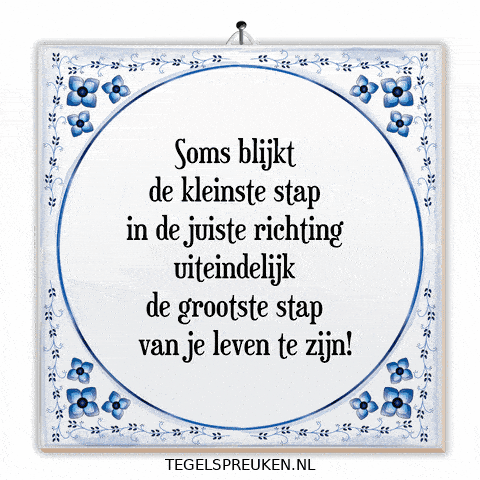 Humor Nl GIF by Tegelspreuken.nl