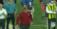 Arizona Cardinals Football GIF by NFL