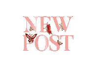 pink rose Sticker by Santa Margherita Wines