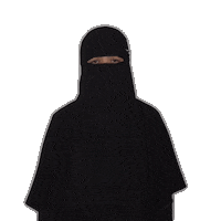 Woman Ninja Sticker by Fynntri