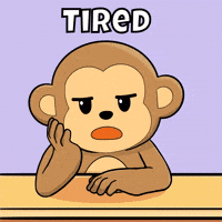 Tired Good Night GIF by Wise Monkey Meme