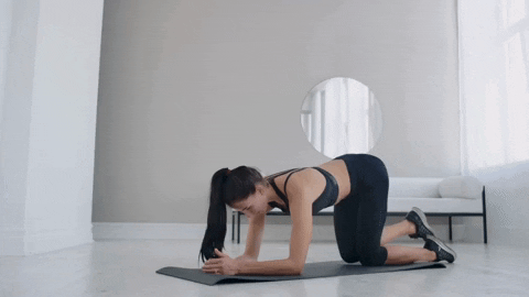 comment-economiser giphyupload GIF